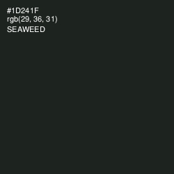 #1D241F - Seaweed Color Image