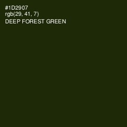 #1D2907 - Deep Forest Green Color Image