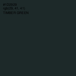 #1D2929 - Timber Green Color Image