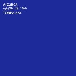 #1D2B9A - Torea Bay Color Image