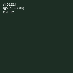 #1D2E24 - Celtic Color Image