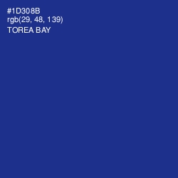 #1D308B - Torea Bay Color Image