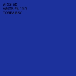 #1D319D - Torea Bay Color Image