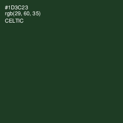 #1D3C23 - Celtic Color Image