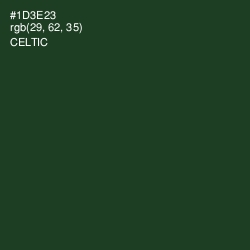 #1D3E23 - Celtic Color Image