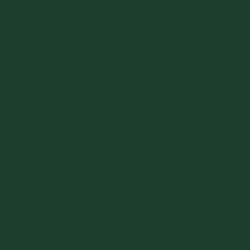 #1D3E2D - Timber Green Color Image