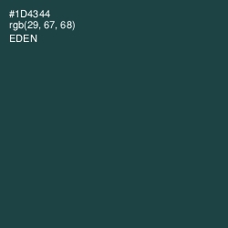 #1D4344 - Eden Color Image