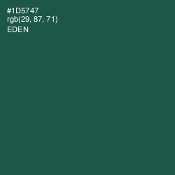 #1D5747 - Eden Color Image