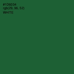 #1D6034 - Fun Green Color Image