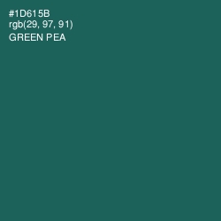 #1D615B - Green Pea Color Image