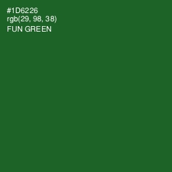 #1D6226 - Fun Green Color Image