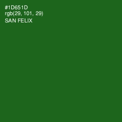 #1D651D - San Felix Color Image