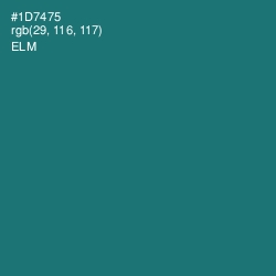#1D7475 - Elm Color Image
