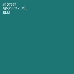 #1D7574 - Elm Color Image