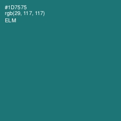 #1D7575 - Elm Color Image