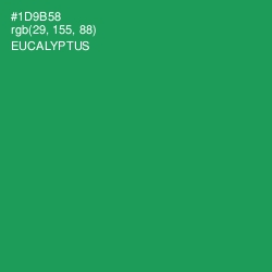 #1D9B58 - Eucalyptus Color Image