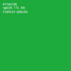 #1DAC3B - Forest Green Color Image