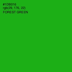 #1DB016 - Forest Green Color Image