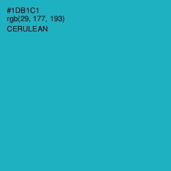 #1DB1C1 - Cerulean Color Image