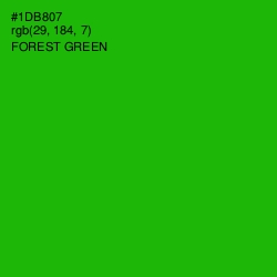 #1DB807 - Forest Green Color Image