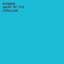 #1DBBD5 - Cerulean Color Image