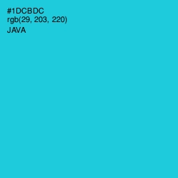 #1DCBDC - Java Color Image