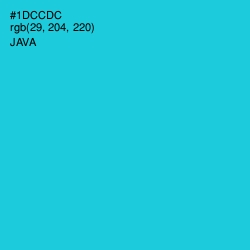 #1DCCDC - Java Color Image