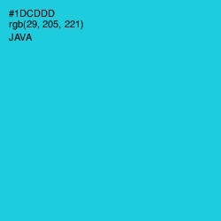 #1DCDDD - Java Color Image