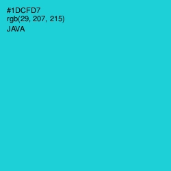 #1DCFD7 - Java Color Image