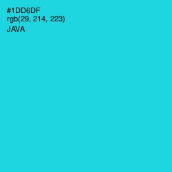 #1DD6DF - Java Color Image