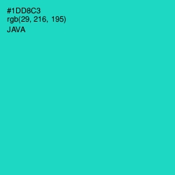 #1DD8C3 - Java Color Image