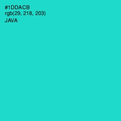 #1DDACB - Java Color Image