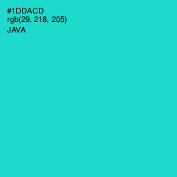 #1DDACD - Java Color Image