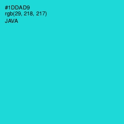 #1DDAD9 - Java Color Image