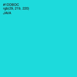 #1DDBDC - Java Color Image