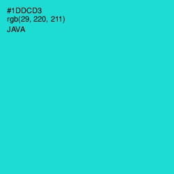 #1DDCD3 - Java Color Image