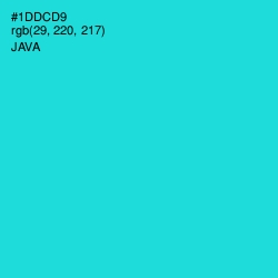 #1DDCD9 - Java Color Image