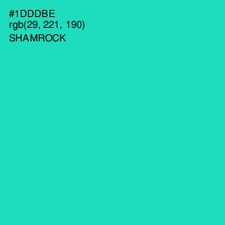 #1DDDBE - Shamrock Color Image