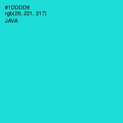 #1DDDD9 - Java Color Image