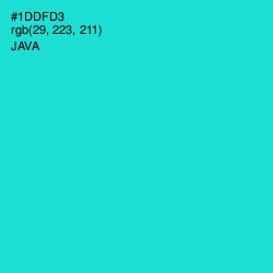 #1DDFD3 - Java Color Image