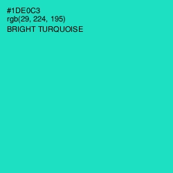 #1DE0C3 - Bright Turquoise Color Image