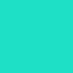 #1DE0C6 - Bright Turquoise Color Image