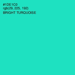 #1DE1C0 - Bright Turquoise Color Image