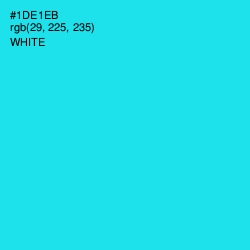 #1DE1EB - Cyan / Aqua Color Image