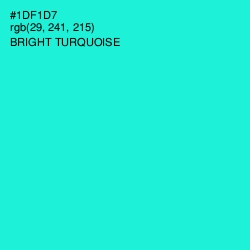 #1DF1D7 - Bright Turquoise Color Image