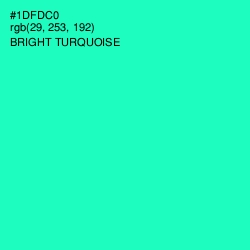 #1DFDC0 - Bright Turquoise Color Image