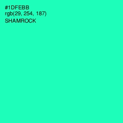 #1DFEBB - Shamrock Color Image