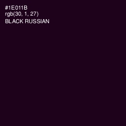 #1E011B - Black Russian Color Image