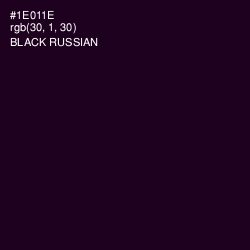 #1E011E - Black Russian Color Image