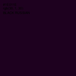 #1E011E - Black Russian Color Image